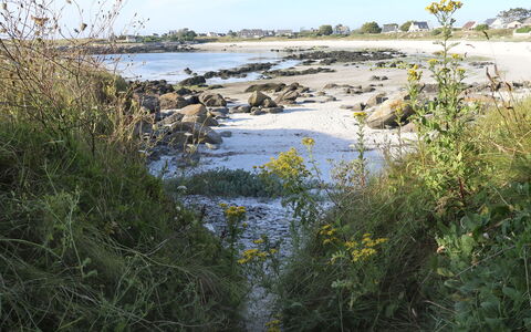 Ty Coz Ar Mor: Krop Af Vand, Vand, Naturlige Landskab, Vandressourcer, Vegetationen, Bank, Naturligt Miljø, Flod, Naturreservat, Vandløb