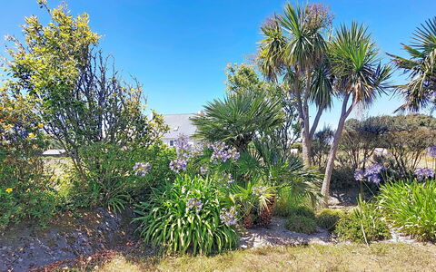 Ker Laouen: Vegetationen, Busk, Plantesamfund, Blomstrende Plante, Have, Vedplante, Shrubland, Botanisk Have