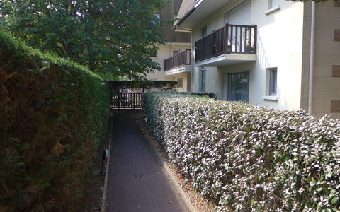 Jardins du Casino: Væg, Busk, Bunddække, Hæk, Forår, Have, Gård, Landscaping, Backyard, Hegn