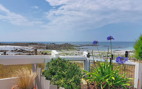 Ti an Aod: Blå, Hav, Kyst, Ocean, Have, Kyst, Landscaping, Blomsterkrukke, Stueplante