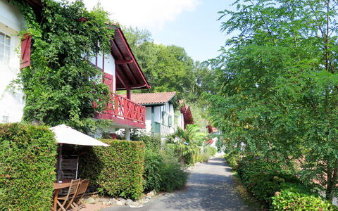 La Bastide Clairence 617: Plante, Bygning, Blomst, Himmel, Vindue, Sky, Hus, Vegetationen, Træ, Vejbelægning