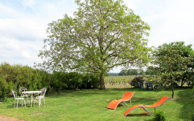Les Mailloches - Lossay, Centre, Frankrig