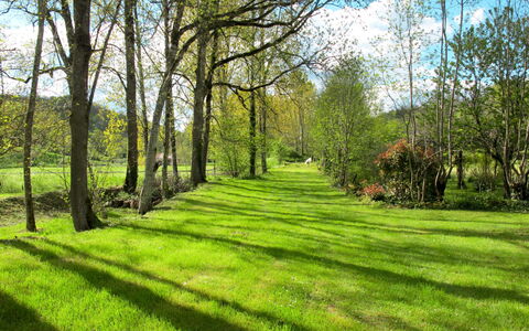 Le Moulin: Plante, Himmel, Naturlige Landskab, Sky, Naturligt Miljø, Afdeling, Træ, Træ, Skygge, Land Lot