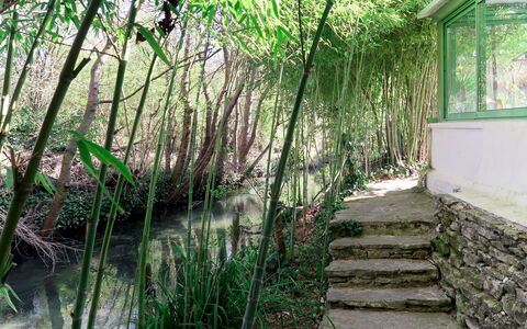 L'Isle sur la Sorgue: Natur, Vegetationen, Grøn, Træ, Naturligt Miljø, Naturreservat, Vand, Naturlige Landskab, Skov, Plante