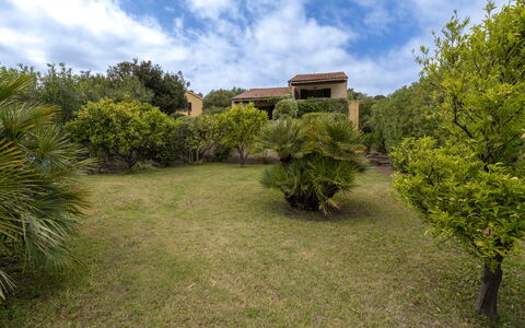 La Baraka: Vegetationen, Busk, Land Lot, Plantesamfund, Have, Landdistrikt, Estate, Lawn, Landscaping, Plantation