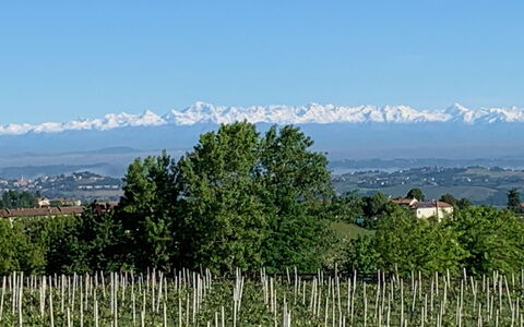 Villa Loreto: Himmel, Plante, Plantesamfund, Bjerg, Økoregion, Naturlige Landskab, Natur, Naturligt Miljø, Træ, Highland