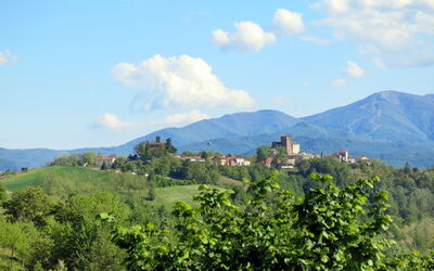 Cascinotta