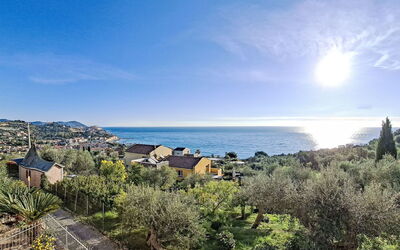 Ulivi sul Mare