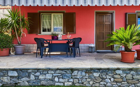 Casa Martina: Plante, Bygning, Vindue, Ejendom, Blomsterkrukke, Stol, Bord, Stueplante, Indretning, Hus