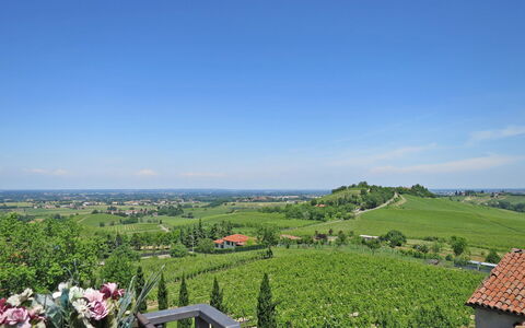 Ca' Del Vento: Himmel, Plante, Plantesamfund, Økoregion, Sky, Naturlige Landskab, Blomst, Land Lot, Vegetationen, Træ