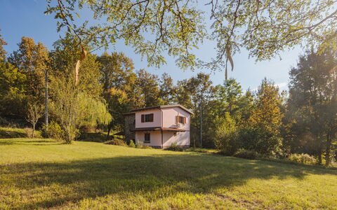Grande Quercia: Plante, Himmel, Bygning, Vindue, Hus, Naturlige Landskab, Træ, Land Lot, Græs, Sommerhus