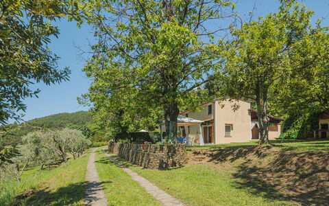 Di Carlino: Plante, Himmel, Ejendom, Bygning, Naturlige Landskab, Træ, Vindue, Land Lot, Hus, Græs