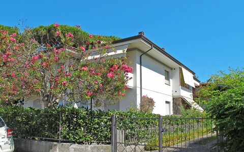 Dei Fiori: Ejendom, Hus, Boligområde, Kvarter, Hjem, Ejendom, Bygning, Stad, Træ, Væg