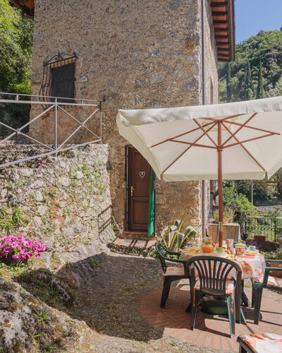 L'Oliveto
