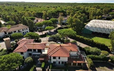 Palazzeta Ii: Plante, Ejendom, Himmel, Bygning, Træ, Arkitektur, Urban Design, Land Lot, Vegetationen, Vindue