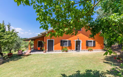 Podere Cerbaia (Smr100): Plante, Bygning, Himmel, Vindue, Naturlige Landskab, Træ, Hus, Land Lot, Skygge, Sky