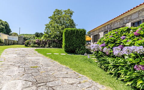 Do Condado: Plante, Himmel, Blomst, Ejendom, Bygning, Træ, Vejbelægning, Botanik, Land Lot, Vegetationen