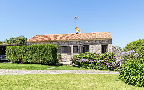 Do Condado: Himmel, Plante, Vindue, Bygning, Land Lot, Græs, Sommerhus, Træ, Blomst, Naturlige Landskab