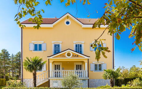 Crikvenica Jadranovo 610: Plante, Himmel, Bygning, Vindue, Ejendom, Træ, Hus, Gul, Sommerhus, Line