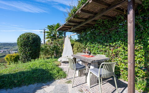 Cossombrato 607: Busk, Have, Udendørs Møbler, Skygge, Udendørs Bord, Landscaping, Stol, Eco Hotel, Backyard, Stueplante