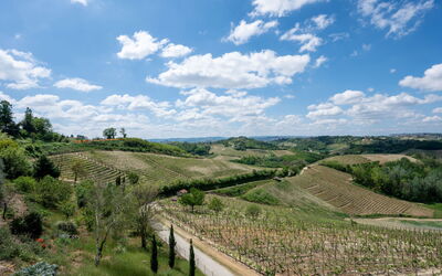 Feriebolig:&nbsp;Agriturismo Colle di San Michele 604.2