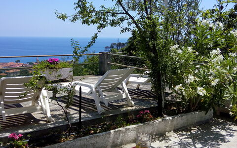San Lorenzo al Mare 625: Plante, Himmel, Ejendom, Møbel, Vand, Bord, Blomst, Blomsterkrukke, Stol, Bygning