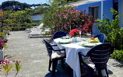 San Lorenzo al Mare 625: Plante, Bord, Blomst, Ejendom, Møbel, Bygning, Vindue, Udendørs Bord, Blad, Himmel