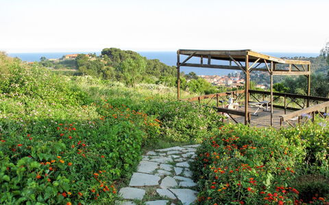 San Lorenzo al Mare 639: Blomst, Himmel, Plante, Plantesamfund, Naturlige Landskab, Land Lot, Træ, Udendørs Møbler, Græs, Skygge