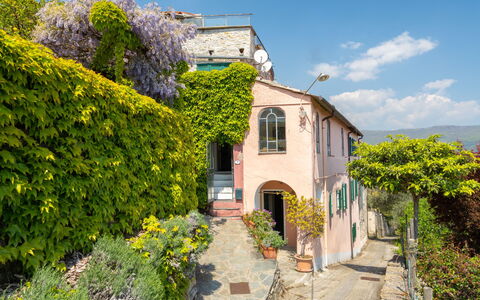 Dolcedo 665: Himmel, Plante, Blomst, Sky, Bygning, Ejendom, Vindue, Hus, Arkitektur, Vegetationen