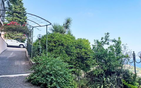 Pietra Ligure 612: Vegetationen, Busk, Vedplante, Have, Skygge, Landscaping, Indkørsel, Walkway, Sti