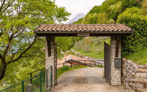Varenna 618: Plante, Plantesamfund, Himmel, Træ, Botanik, Naturlige Landskab, Skygge, Træ, Vejbelægning, Biome