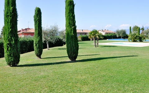 San Marco: Grøn, Græs, Lawn, Træ, Land Lot, Græsfamilien, Plante, Busk, Kunstgræs, Vedplante