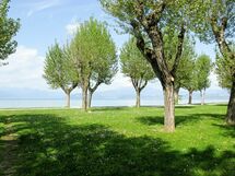 Sirmione 623