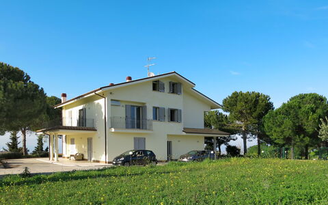 Pineto 636: Plante, Himmel, Bygning, Vindue, Træ, Hus, Land Lot, Vegetationen, Naturlige Landskab, Sommerhus