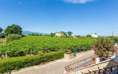 Feriebolig:&nbsp;Borgo Agrituristico Il Pino 606.3