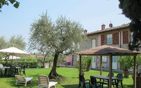 Lucca 657: Udendørs Møbler, Busk, Hus, Udendørs Bord, Møbel, Hjem, Have, Lawn, Backyard, Estate