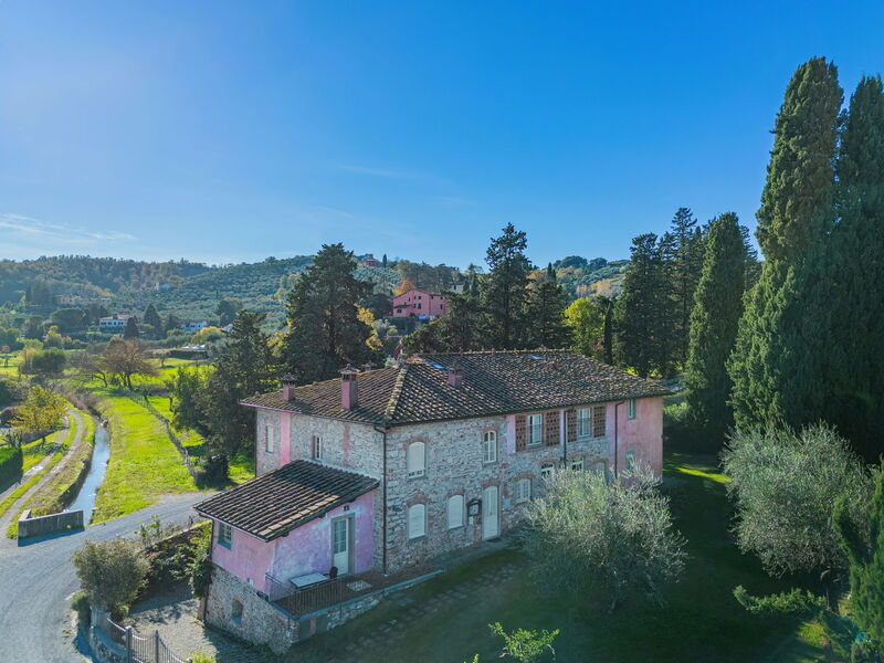 Lucca 657