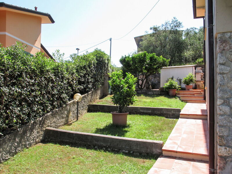 Camaiore 681
