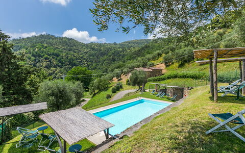 Pescia 626: Vand, Himmel, Plante, Ejendom, Sky, Svømmepøl, Grøn, Naturlige Landskab, Azure, Bygning
