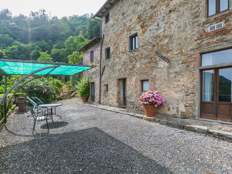 Pescia 626