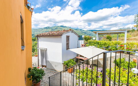 Pescia 629: Sky, Himmel, Plante, Ejendom, Bygning, Blomst, Vindue, Hus, Gul, Blomsterkrukke
