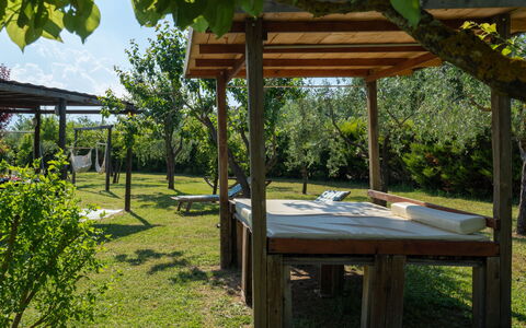 Le Buche: Plante, Ejendom, Skygge, Botanik, Himmel, Fritid, Græs, Offentlige Rum, Gazebo, Landskab