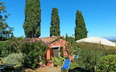 Orciatico 636