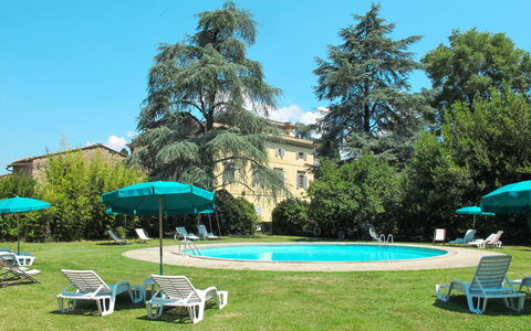 Pergine Valdarno 639