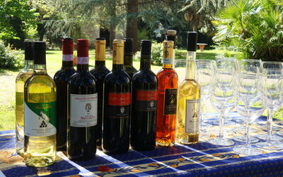 Pergine Valdarno 639