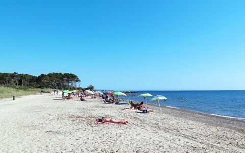 Palazzeta Iv: Vand, Himmel, Strand, Træ, Coastal Og Oceaniske Landskabsformer, Landskab, Fritid, Horisont