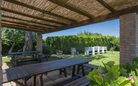 Cecina 609: Ejendom, Ejendom, Bygning, Hus, Botanik, Værelse, Træ, Pergola, Skygge, Arkitektur