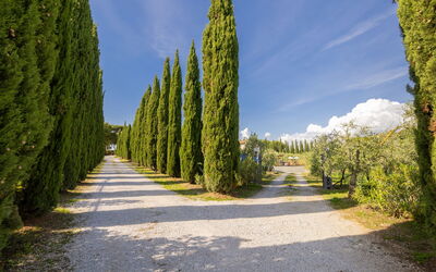 Feriebolig:&nbsp;Podere Tre Termini 609.6
