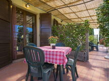 Cecina 609