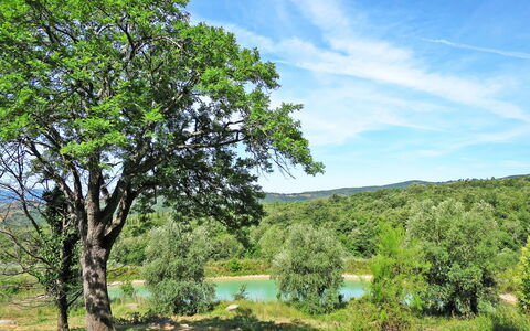 Roccastrada 617: Træ, Naturlige Landskab, Natur, Grøn, Vegetationen, Ejendom, Himmel, Naturreservat, Græs, Naturligt Miljø
